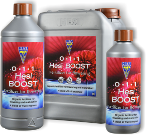 HESI BOOST HESI BOOST
