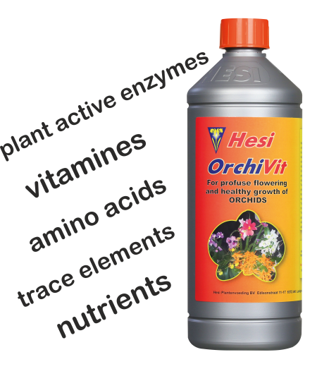 HESI OrchiVit